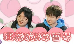 明星爆料刘大锤视频播放,明星爆料内容引发热议