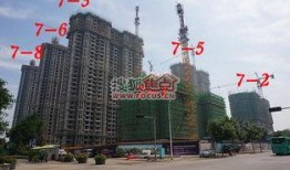 石家庄天苑爆料案件最新,揭秘背后惊人真相