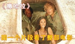 撒哈拉电影在线观看,穿越沙漠的浪漫传奇