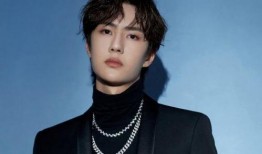 港媒爆料肖战王一博视频