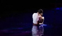 最后的舞男在线观看,激情舞池中的情感救赎之旅