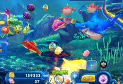 深海捕鱼爆料视频播放下载,惊险瞬间与海量鱼获同步下载揭秘