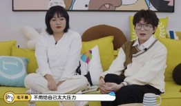 明星爆料刘大锤视频播放,明星爆料内容引发热议