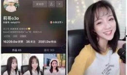 网红视频新闻爆料,揭秘热门事件背后真相