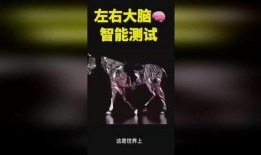 奇人异事热点爆料视频在线观看,揭秘神秘事件，热点爆料视频在线观看