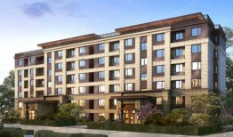 龙德井壹号最新爆料新闻,揭秘神秘项目背后的惊人真相