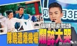 陶汉明醉酒爆料了吗视频,真相与争议并存