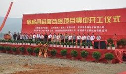 2019宿松爆料新闻,真相与争议交织的年度事件盘点