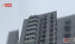 石家庄天苑爆料案件最新,揭秘背后惊人真相