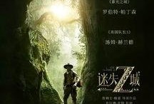 迷失在线观看,揭秘虚拟世界的真实迷局