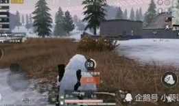 和平精英最新载具大爆料