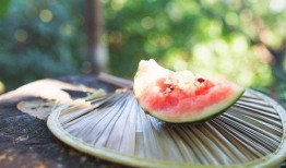 吃瓜免费吃瓜入口在线观看,揭秘“吃瓜免费入口”在线观看攻略