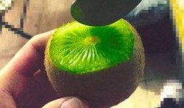 抖音网红事件吃瓜,吃瓜群众围观，揭秘网络红人幕后真相