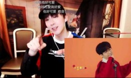 记者爆料刘宇宁视频播放,记者爆料背后真相