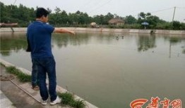 鱼塘爆料大全图片视频,揭秘网络热图背后的故事与真相