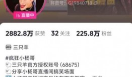 保利香槟爆料视频播放大全,揭秘幕后真相