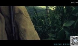 迷失在线观看,揭秘虚拟世界的真实迷局