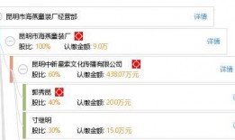 昆明爆料海燕视频大全最新,海燕视频大全最新动态揭秘