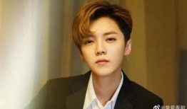 爆料鹿晗妈妈视频播放,揭秘明星家庭日常