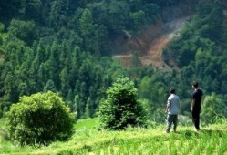 大山来了在线观看,探寻神秘山脉的奇幻之旅