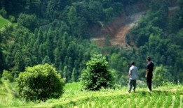 大山来了在线观看,探寻神秘山脉的奇幻之旅