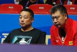 乒乓球员爆料视频播放下载,独家下载与幕后故事