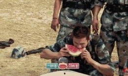 娱乐吃瓜地,吃瓜群众背后的故事