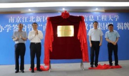 中国新主播爆料最新消息,行业最新动态大揭秘！