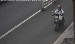 电瓶车事件最新爆料