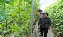 网红吃瓜旅游是真的吗还是假的,真伪难辨的网红现象