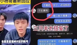 三只羊吃瓜爆料直播间视频,揭秘娱乐圈幕后故事