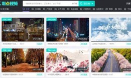 行业爆料视频素材怎么找,视频素材背后的故事