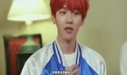 边伯贤圈内爆料事件,一场惊心动魄的爆料风暴