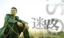 迷路在线观看,探寻未知世界的探险之旅