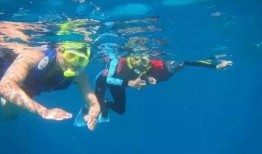 游泳网红吃瓜视频大全集,揭秘幕后真相