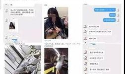 营销号爆料教程视频,轻松学会打造热门内容！