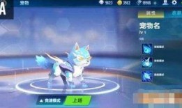 飞车宠物最新爆料图纸,神秘图纸揭秘，未来宠物玩法大猜想