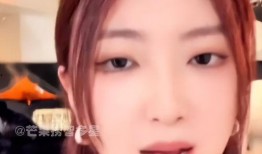 小叶子爆料全过程视频,揭秘事件真相与幕后故事