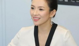 章子怡爆料娱乐圈,幕后真相与明星心酸历程