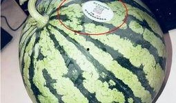 网红吃瓜625,揭秘娱乐圈背后的秘密与真相