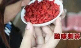 枸杞硫磺爆料视频大全最新,最新爆料视频大盘点