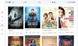 偶像爆料视频素材无水印,无水印视频素材背后的故事