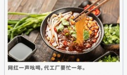 张兰爆料酸辣粉视频大全,酸辣粉制作全过程大公开