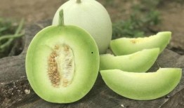 吃瓜免费吃瓜入口在线观看,揭秘“吃瓜免费入口”在线观看攻略