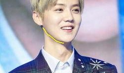 边伯贤圈内爆料事件,一场惊心动魄的爆料风暴