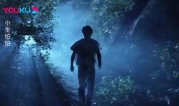 迷路在线观看,探寻未知世界的探险之旅