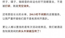 娱乐爆料是什么意思啊,深度解析“根据娱乐爆料”的含义