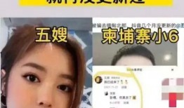 五嫂被害爆料视频