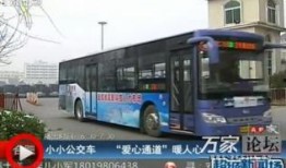 3路公交车爆料新闻最新,最新爆料揭示惊心动魄一幕