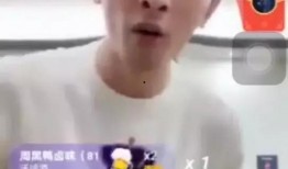 爆料辛巴真实经历视频播放,揭秘直播带货背后的辛酸历程